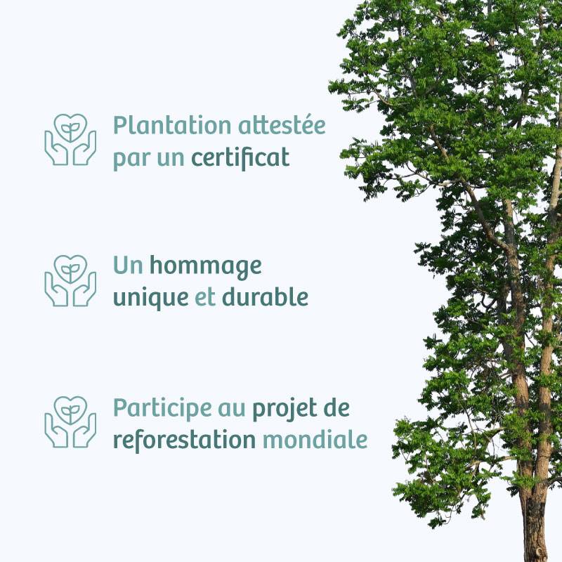 Planter un arbre en hommage à Mme Dominique LANGRY